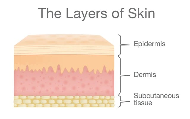 Layers-Of-Skin